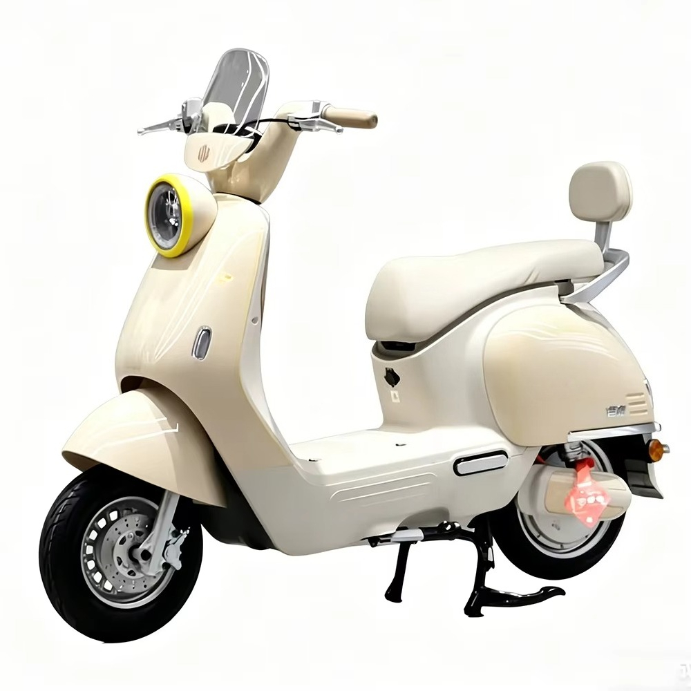 Motocicleta elétrica para adul - Brake Disc Motorcycle avaliação e preço